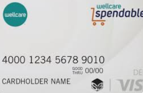 Wellcare OTC Card